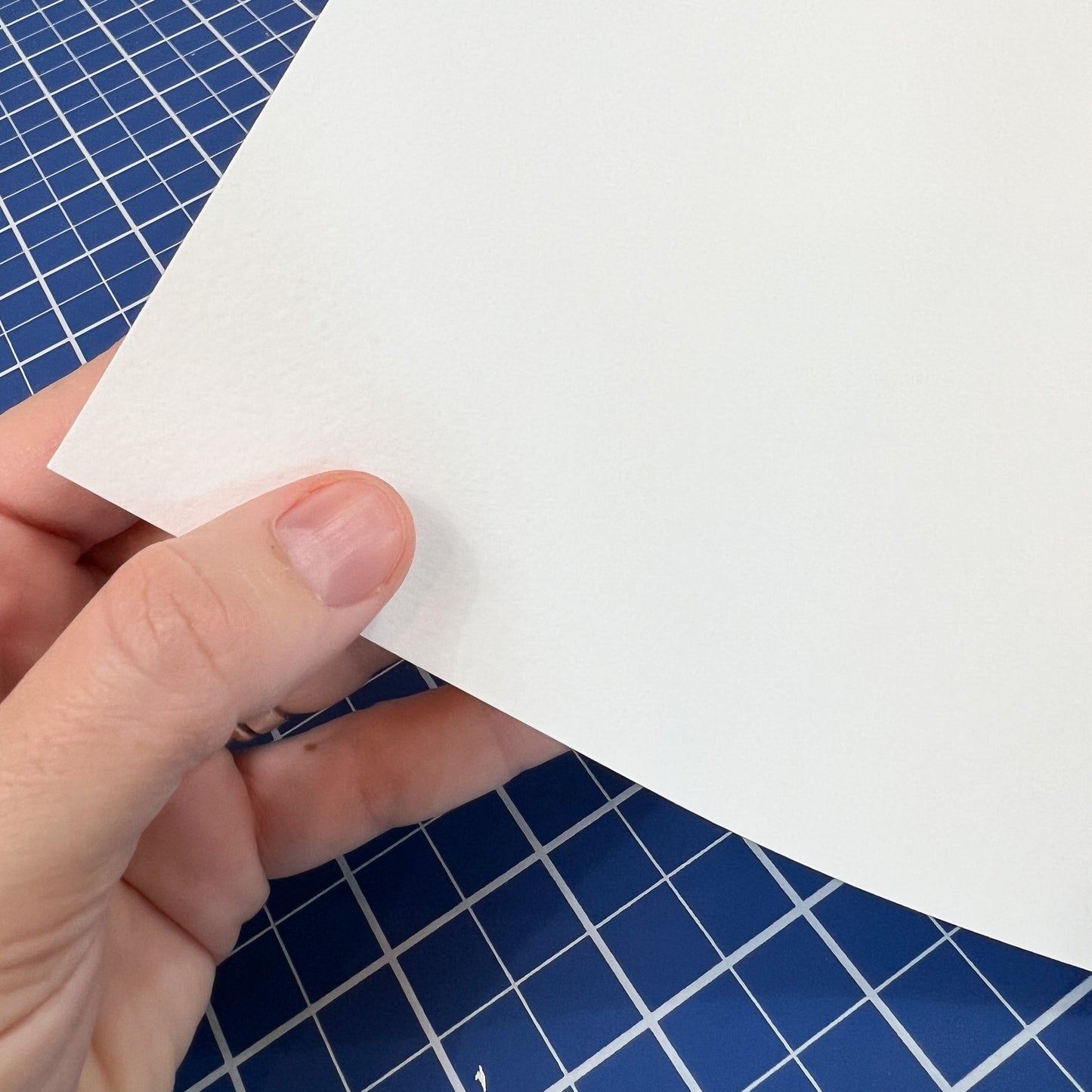 Velvet Paper Print